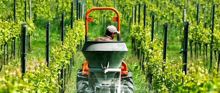 Abogado de California para trabajadores agrícolas a quienes se les adeudan salarios, acosados sexualmente, lesionados en el trabajo